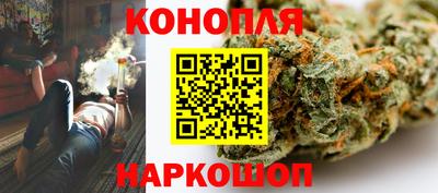 прущие грибы Канаш