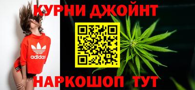 прущие грибы Канаш