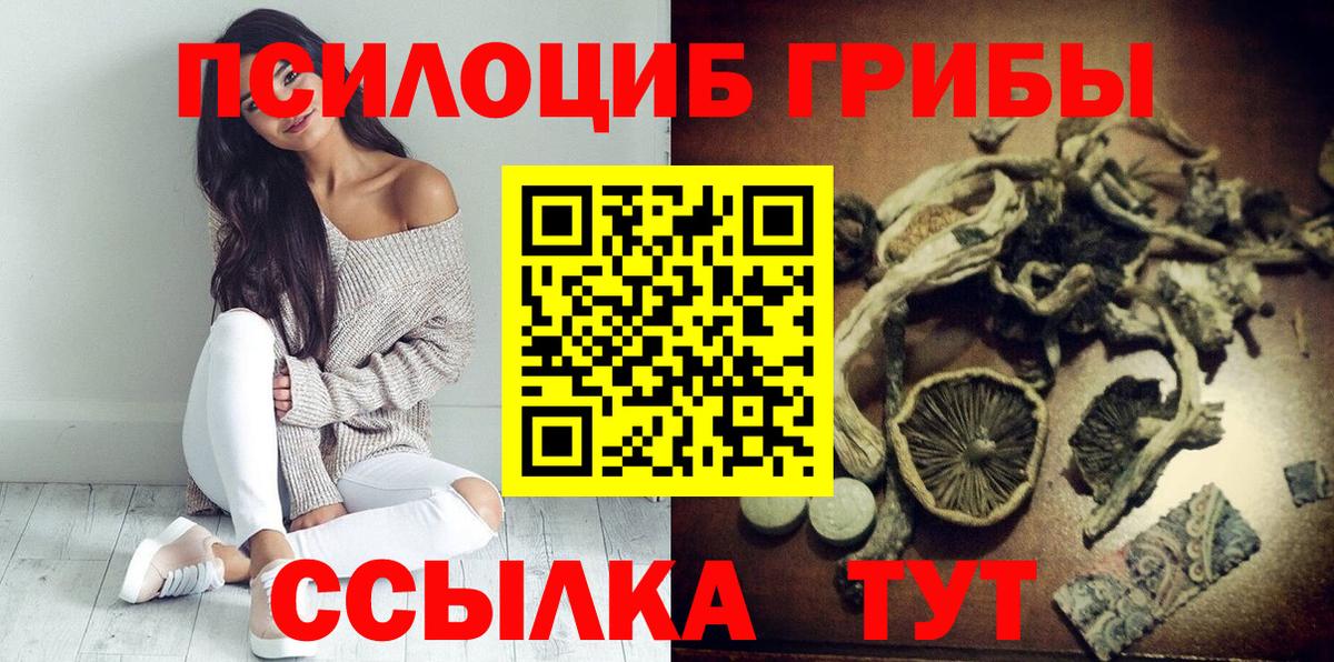 Псилоцибиновые грибы Cubensis  Вход с VPN  Красноуфимск 